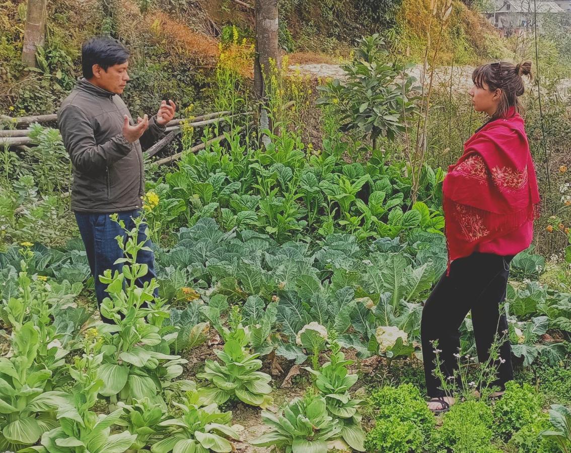 Patlekhet Eco Farmhouse 둘리켈 외부 사진